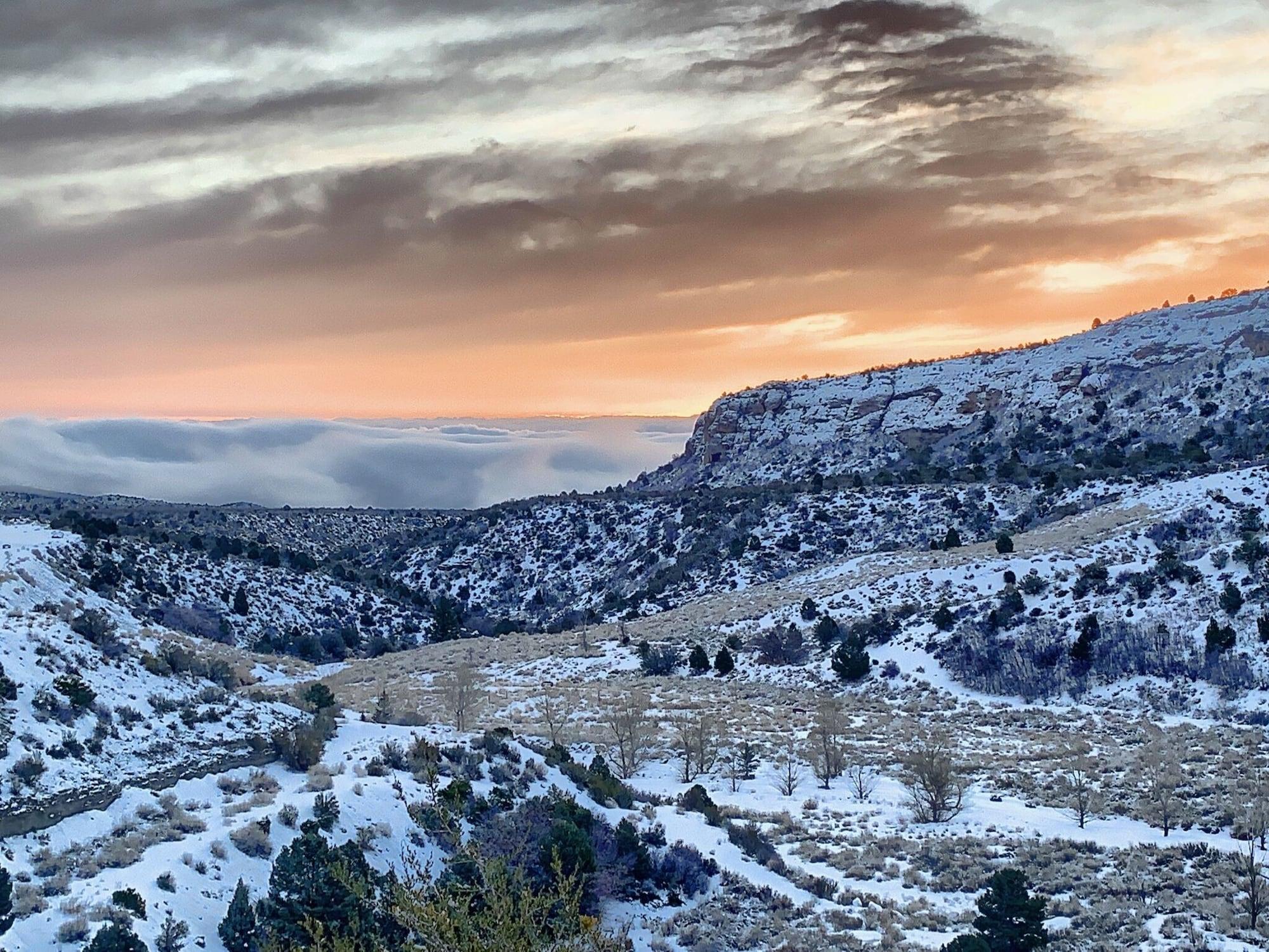 The Resort On Mount Charleston Bagian luar foto